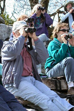Ron and Pat Freed watching hawks